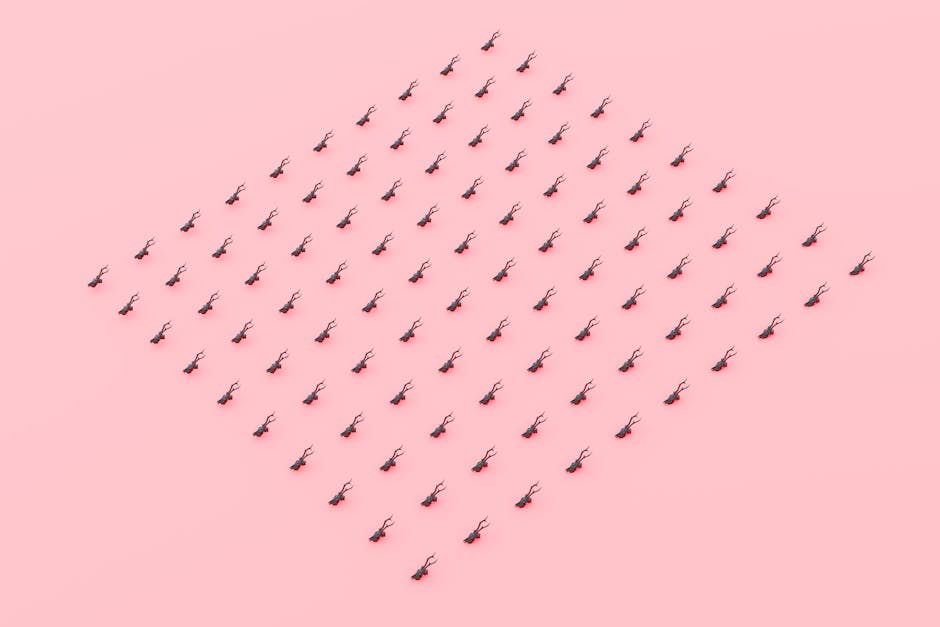 Comparativo visual de antes e