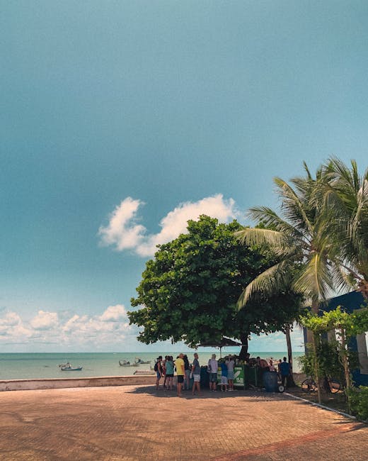 Uma montagem com diversas pessoas