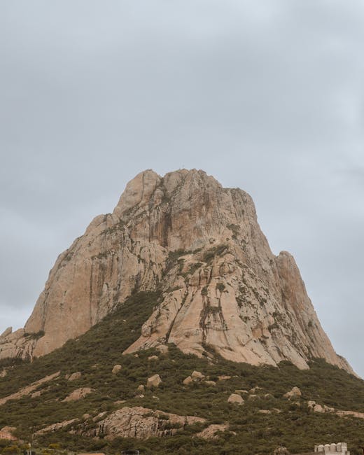 Montagem comparando a lotação de