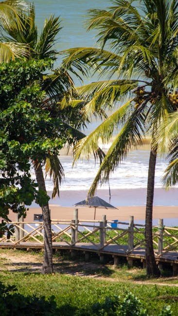 Uma pessoa olhando para o