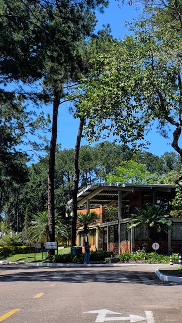 Uma montagem com duas imagens: