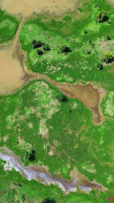 Infográfico comparando diferentes tipos de