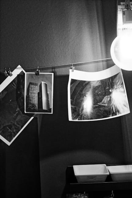 Montagem com cinco fotos mostrando