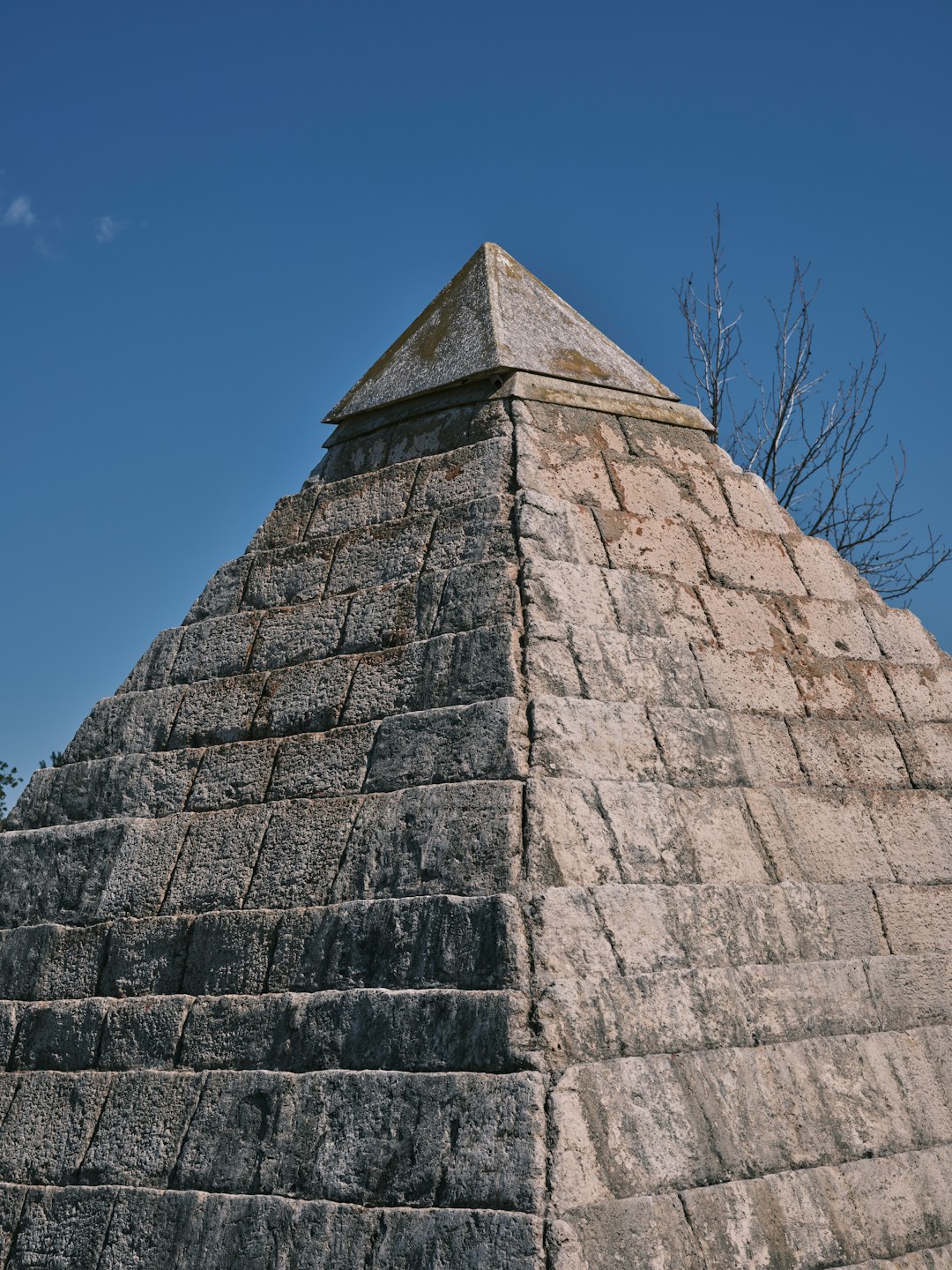 a stone pyramid with a tree in the background