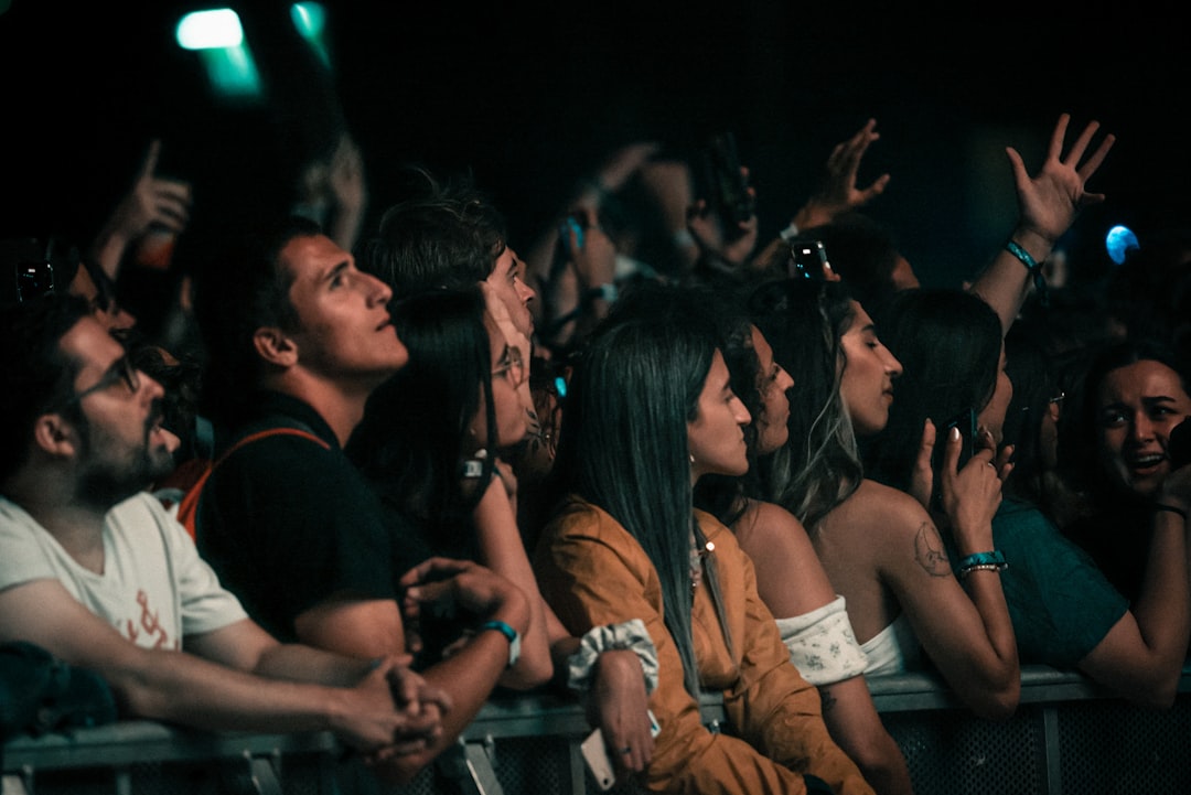 a crowd of people at a concert