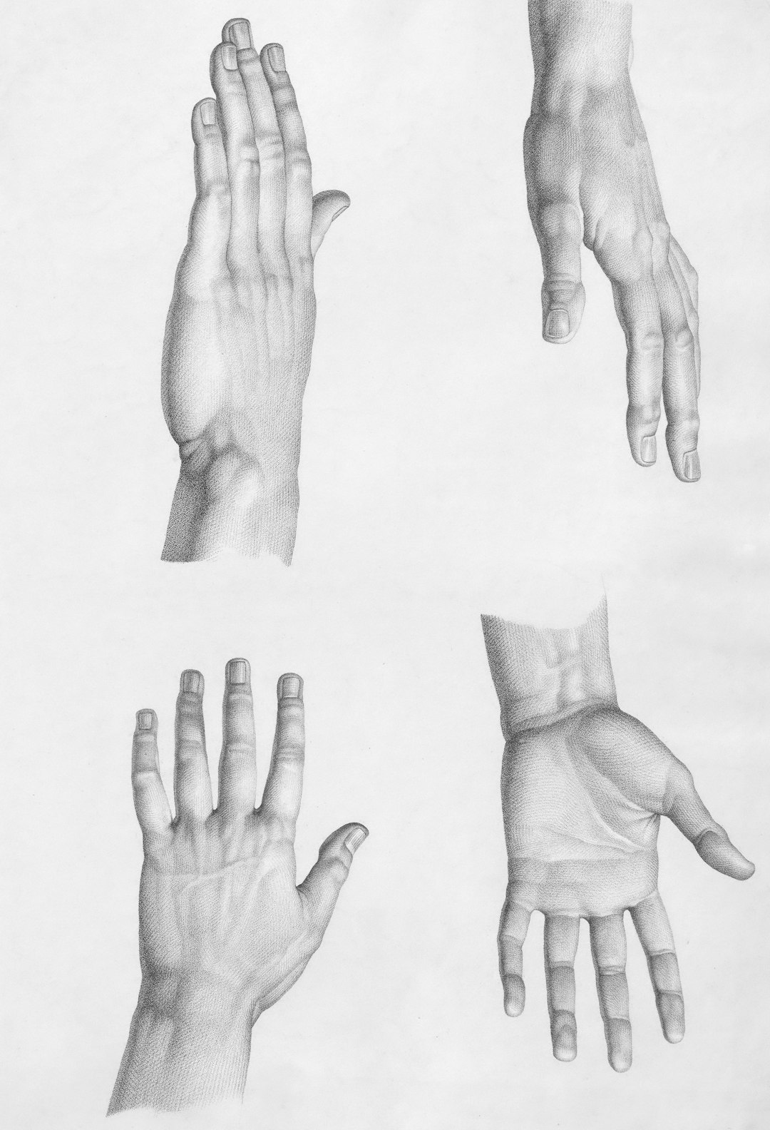 Four detailed sketches of human hands in various poses.