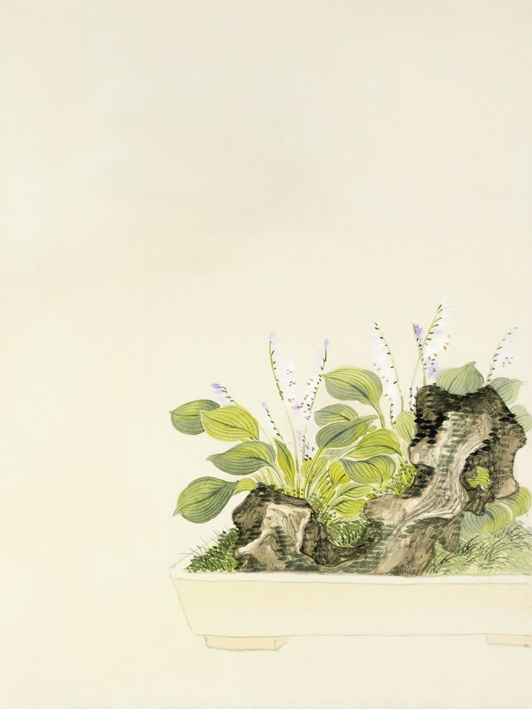 A miniature garden with plants and rocks in a pot