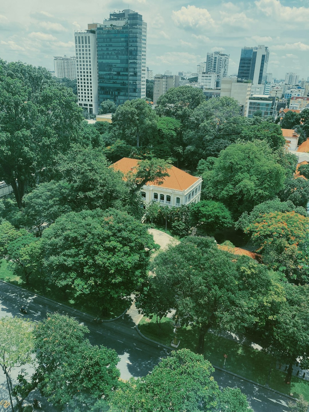 green trees near city buildings during daytime