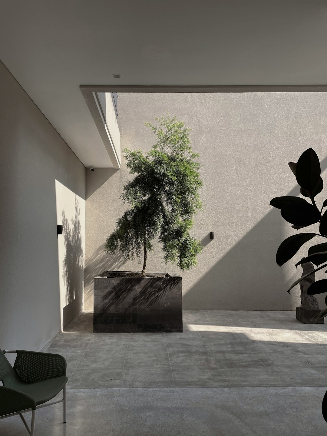 a room with a chair and a tree in it