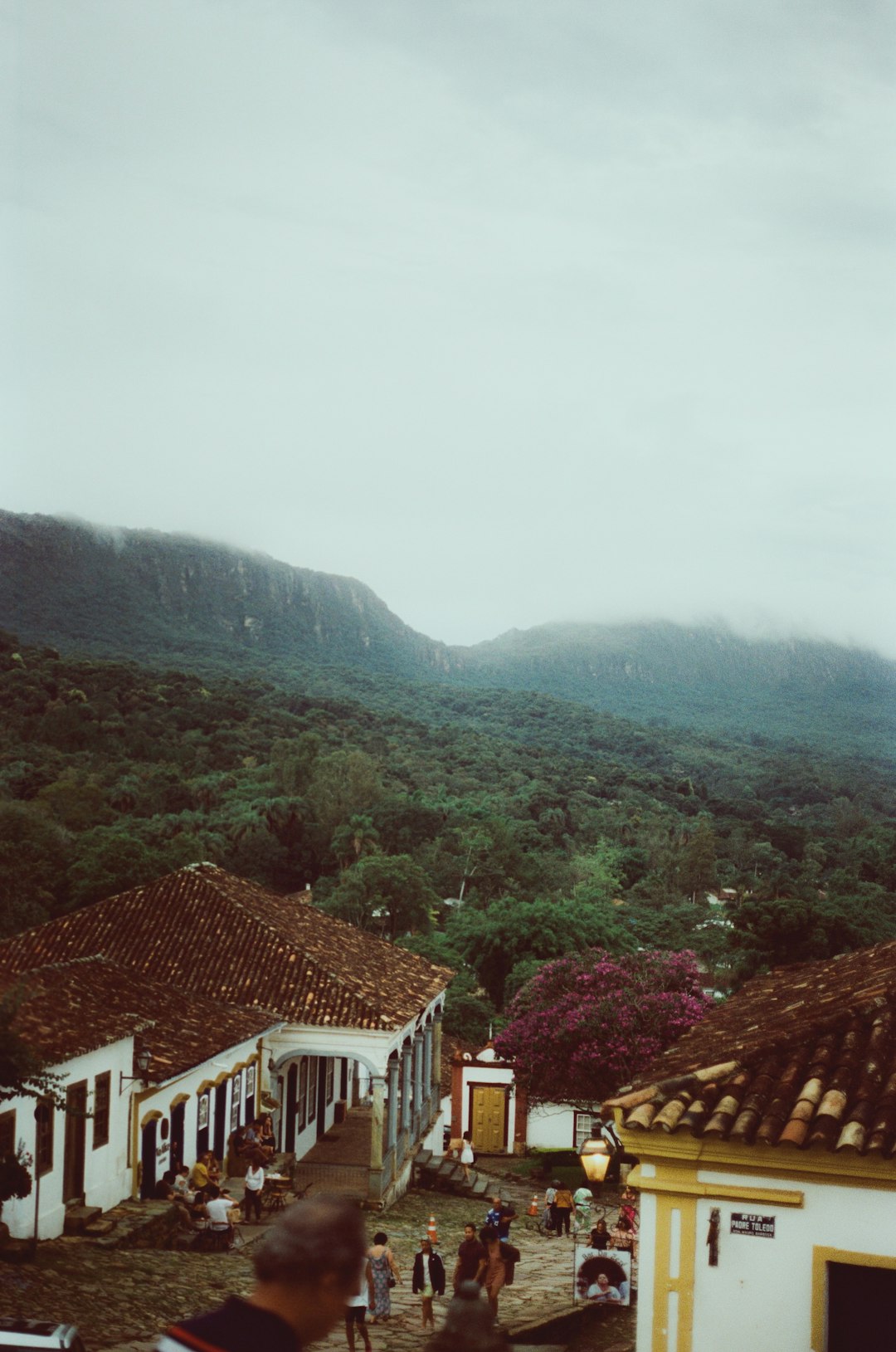 a group of people walking down a street next to a lush green hillside