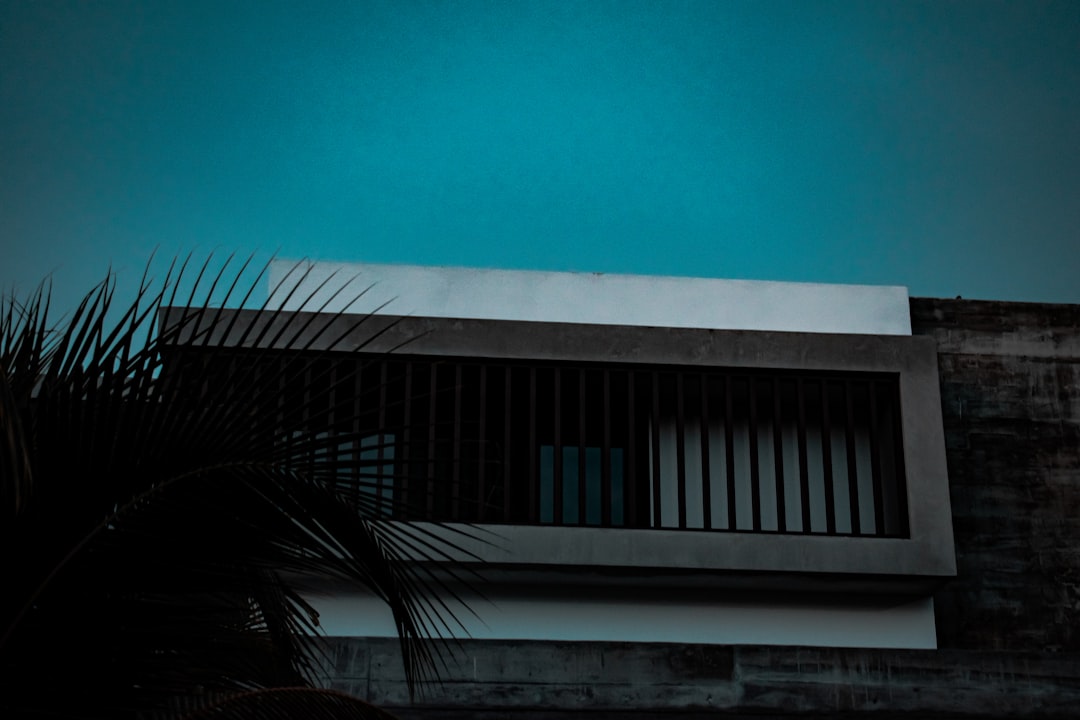 a building with a palm tree in front of it