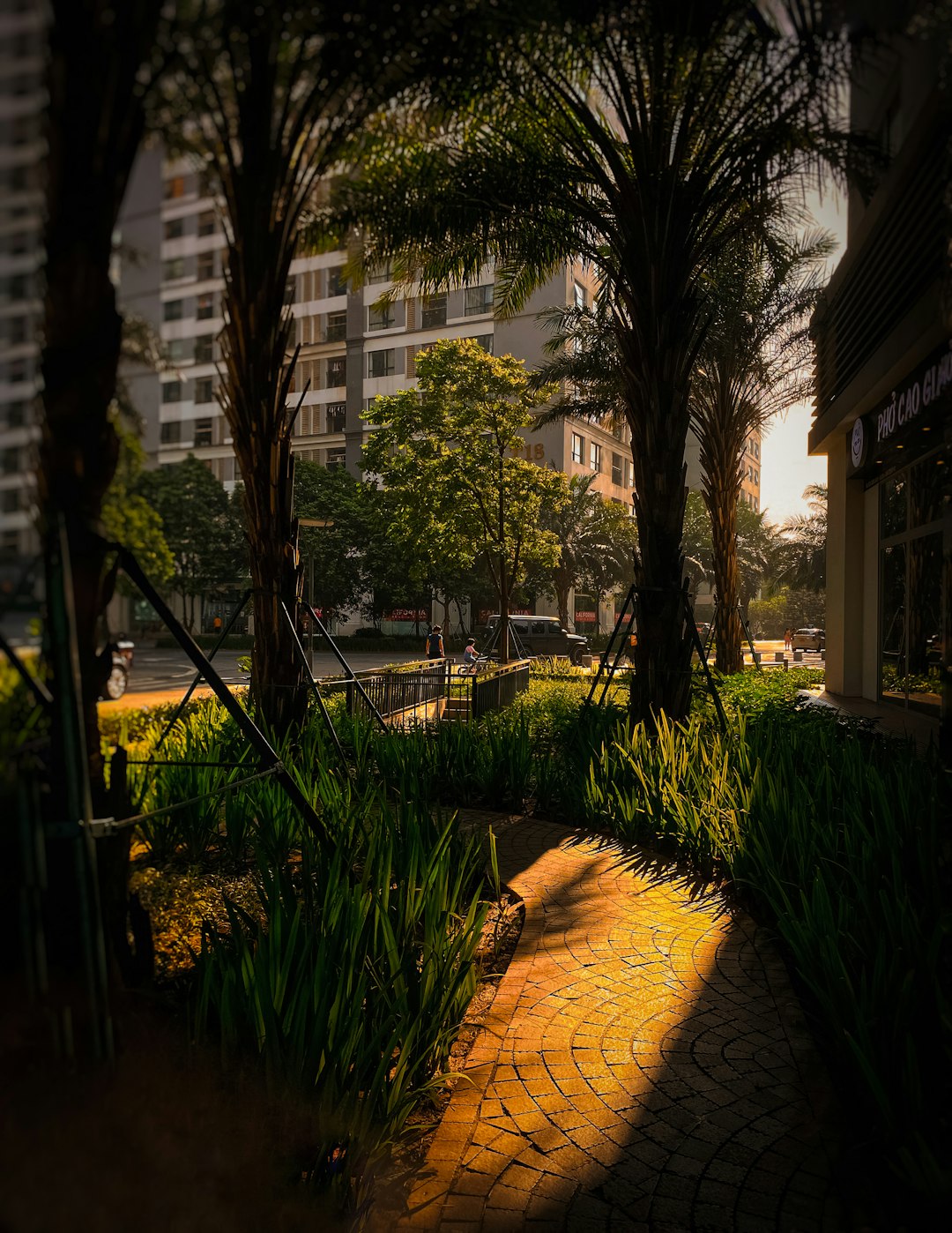 a sidewalk with a light shining through the trees