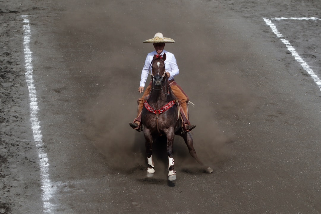 a man riding on the back of a brown horse