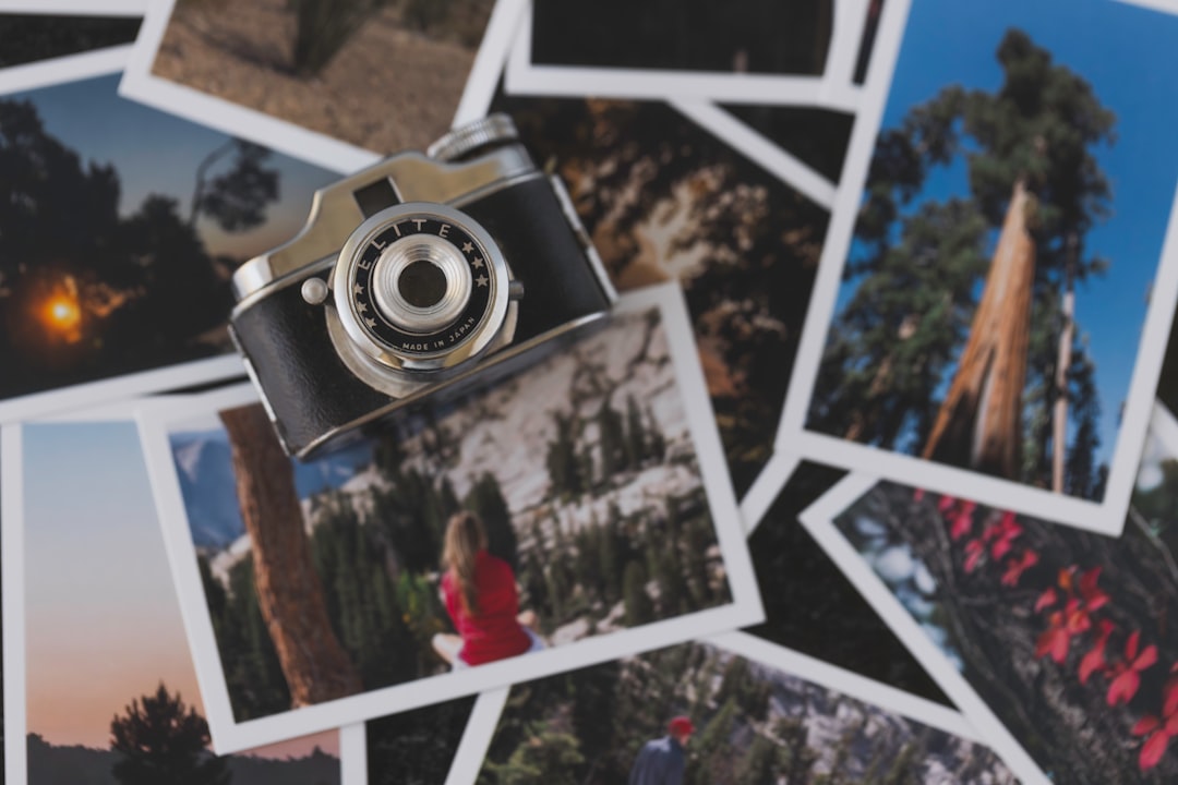 Vintage camera on scattered landscape photographs